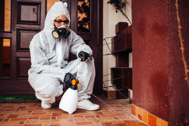 Reliable Ant Control contractor in Hermann, MO by Show Me Pest Control